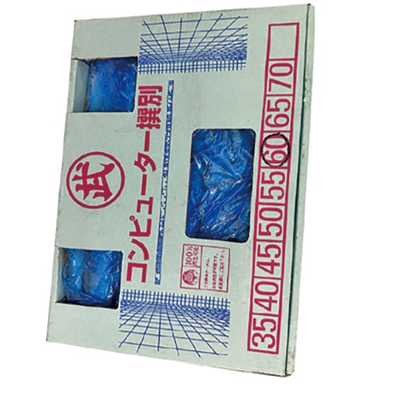 日本秋刀魚60庄7.5KG/箱